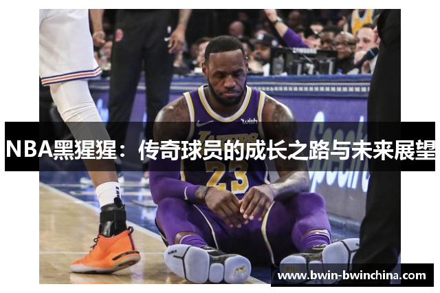 NBA黑猩猩：传奇球员的成长之路与未来展望